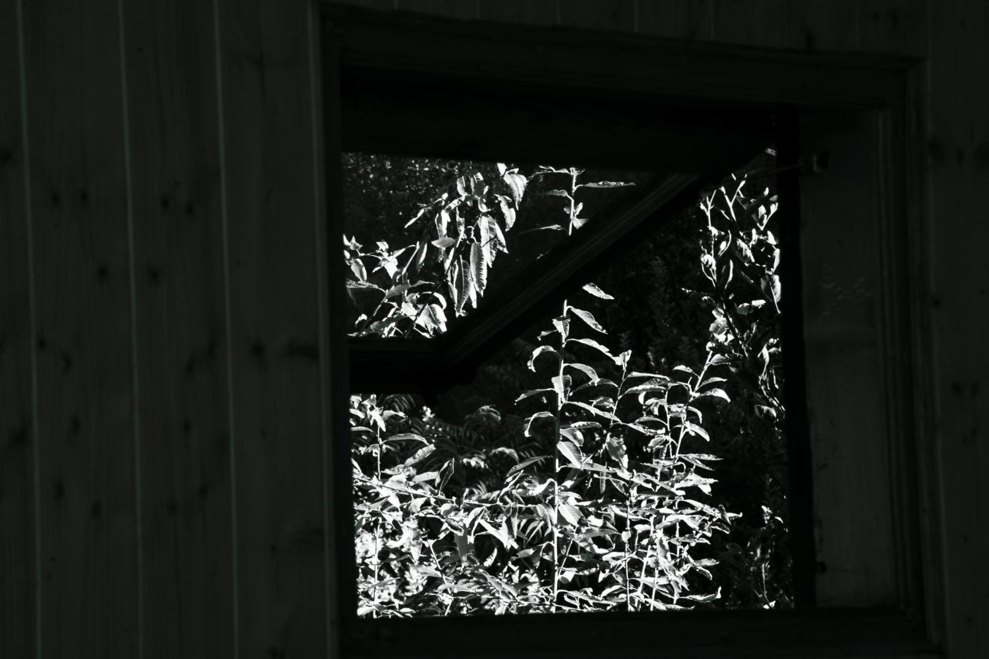 Cove The Glass House Manali  Exterior photo